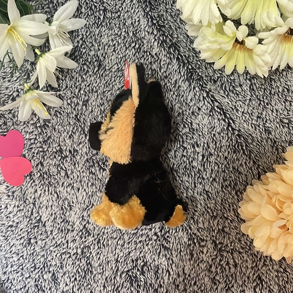 This is a beanie boo! she’s a small little dog that loves to play! - Picture 4 of 6